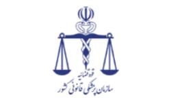 پیشنهادات و راهکارهای اجرایی که در جهت کاهش تردد و زمان حضور مراجعین و تسهیل و تسریع امور بوده و برای بهبود فضای خدمت رسانی و نیز کاهش فشارکاری بر کارکنان خدوم سازمان مفید می باشد(نظرخواهی شماره 8)